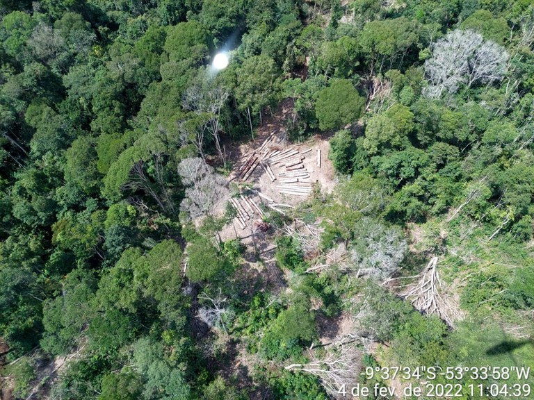 FUNAI: Operação Escudo de Palha investiga desmatamento ilegal em Terra Indígena do Mato Grosso