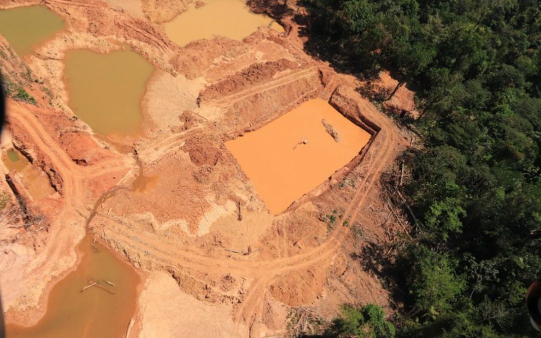RBA: Cientistas desmontam argumento de Bolsonaro para explorar terras indígenas