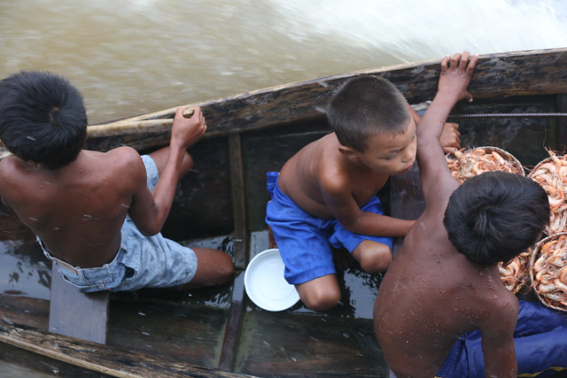 CNJ: Justiça enfrenta barreiras para ouvir crianças indígenas no Amazonas