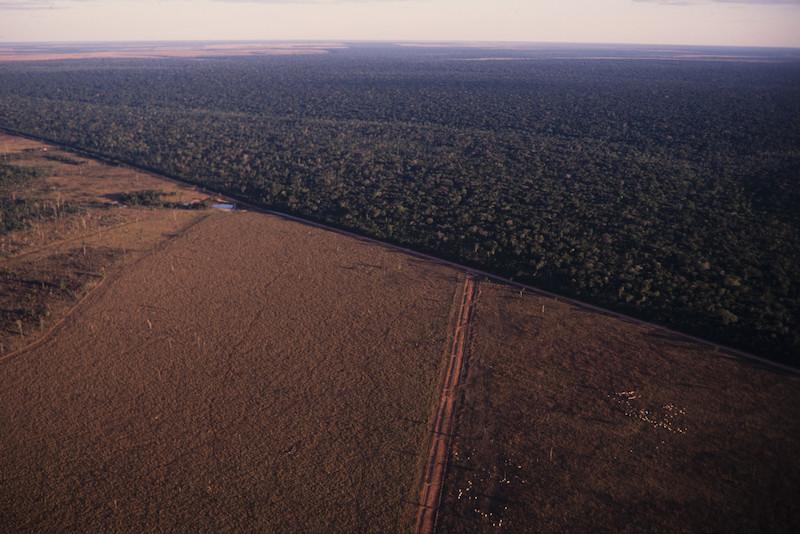 ISA: Fique Sabendo: Desmatamento na Amazônia deve gerar prejuízo de mais de US$ 1 bi, diz ONU