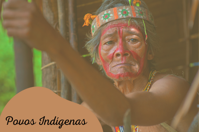 MPF: Resolução garante acesso de indígenas ao Judiciário e respeita diversidade de povos originários, avalia ouvidor do MPF