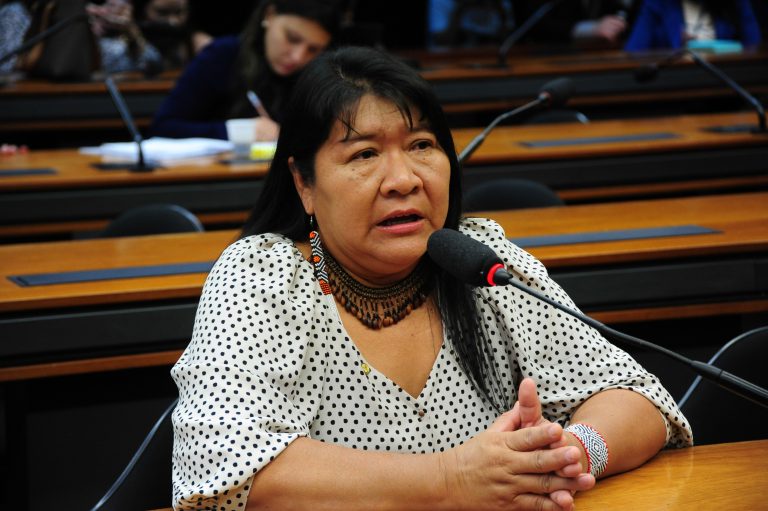 CÂMARA: CCJ cria grupo de trabalho para acompanhar situação de povos Yanomami