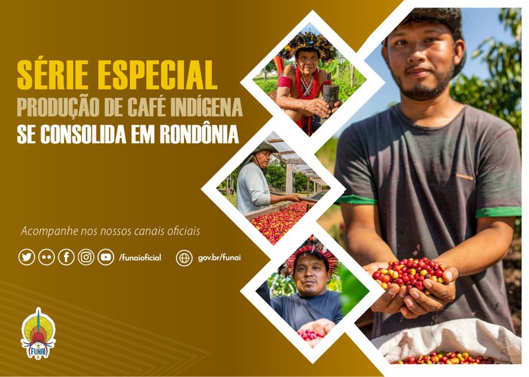 FUNAI: Série Especial: Com apoio da Funai, produção de café indígena se consolida em Rondônia
