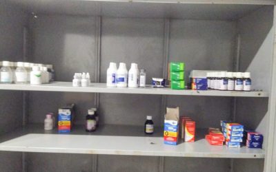 CIMI: Descaso do poder público e desassistência à saúde colocam em risco a vida de povos indígenas no Maranhão