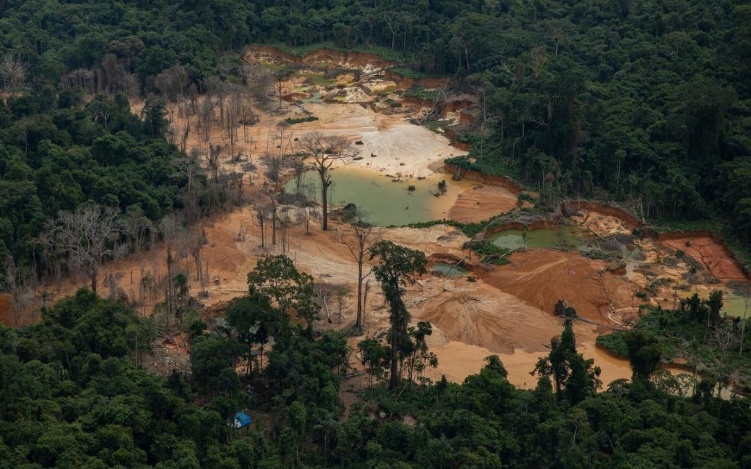 ISA: Fique Sabendo: operações na Terra Indígena Yanomami atingem apenas 2% dos garimpos ilegais