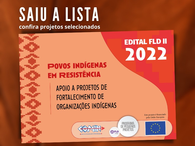 COMIN: Divulgada lista de projetos apoiados pelo edital “Povos Indígenas em Resistência”￼