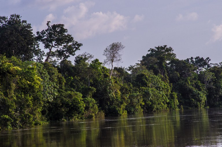 FUNAI: Funai amplia buscas por desaparecidos na região do Vale do Javari (AM)