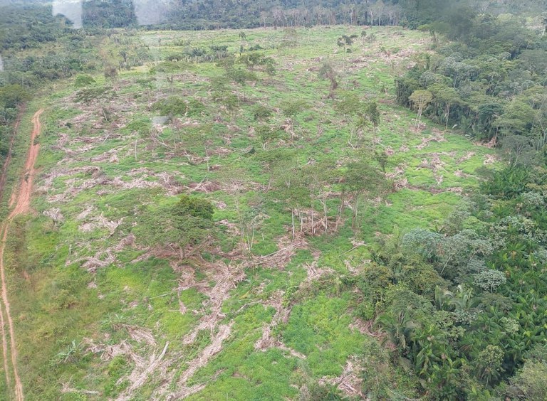 FUNAI: Com apoio da Funai, Operação Guardiões do Bioma combate desmatamento Ilegal no país