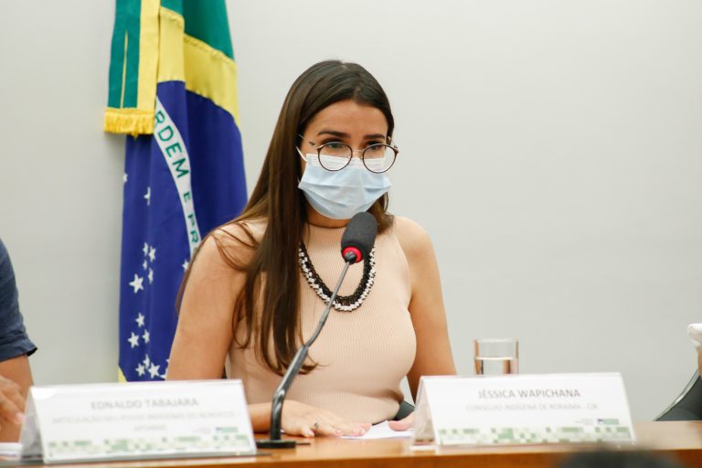 CÂMARA: Povos indígenas pedem retomada de política de gestão de território