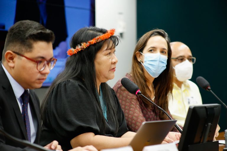 CÂMARA: Indefinição sobre marco temporal abre brecha para perseguir lideranças indígenas, afirmam debatedores