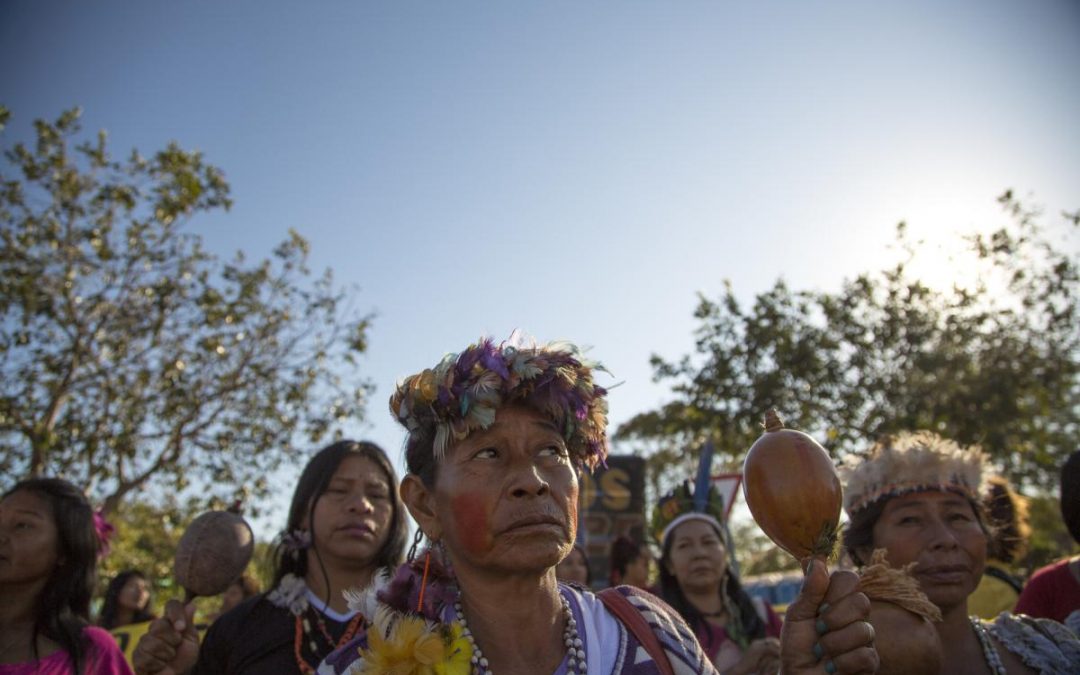 ISA: Ataque aos Guarani Kaiowá joga luz sobre paralisação da demarcação de Terras Indígenas