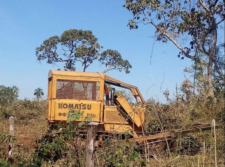 CIMI: Povo Chiquitano denuncia desmatamento em área reivindicada como território tradicional, em Mato Grosso