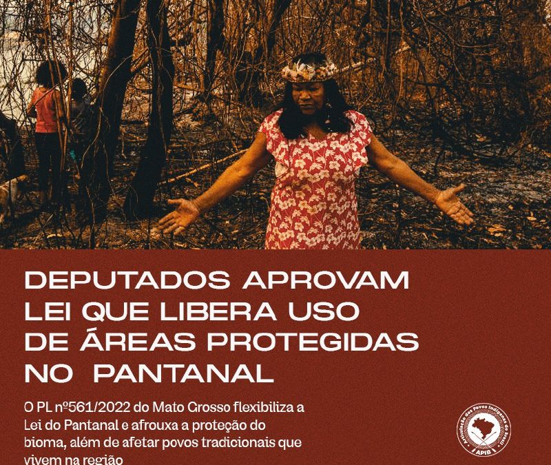 APIB: Deputados aprovam PL que libera uso de áreas protegidas e afeta povos tradicionais que vivem no Pantanal