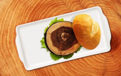 DE OLHO NOS RURALISTAS: Madero: o hambúrguer com sabor de desmatamento