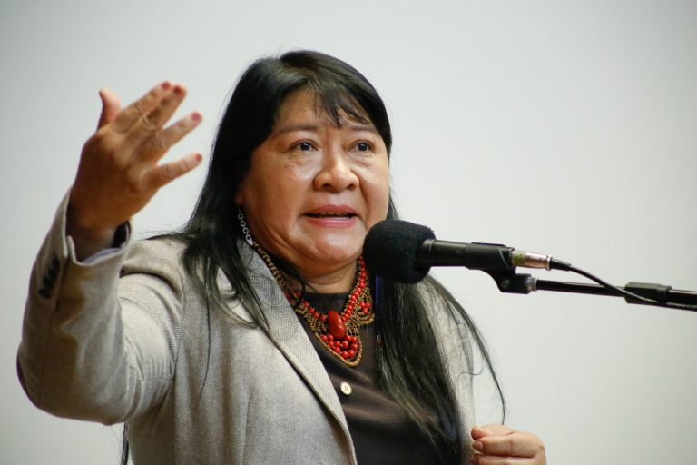 CÂMARA: CCJ aprova projeto que prevê línguas indígenas como cooficiais