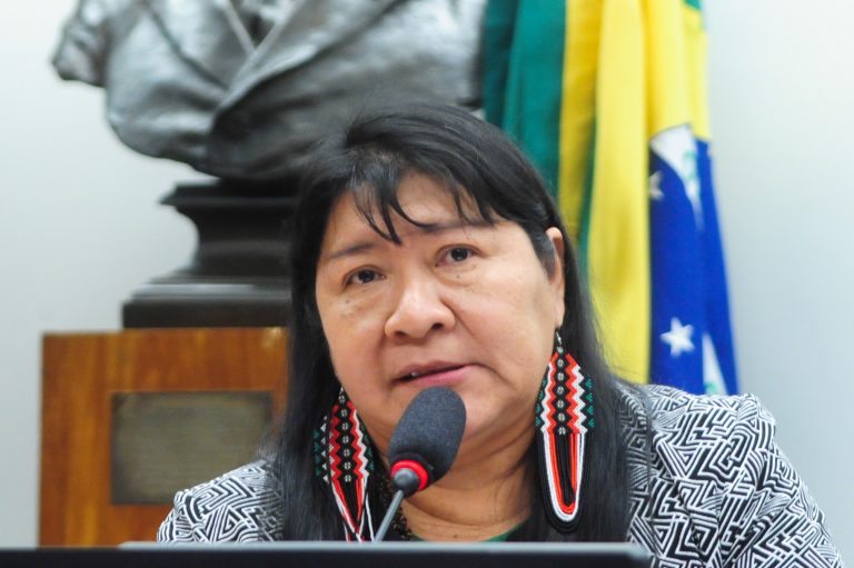 CÂMARA: Deputada cobra a garantia de direitos básicos na Terra Indígena Ianomâmi