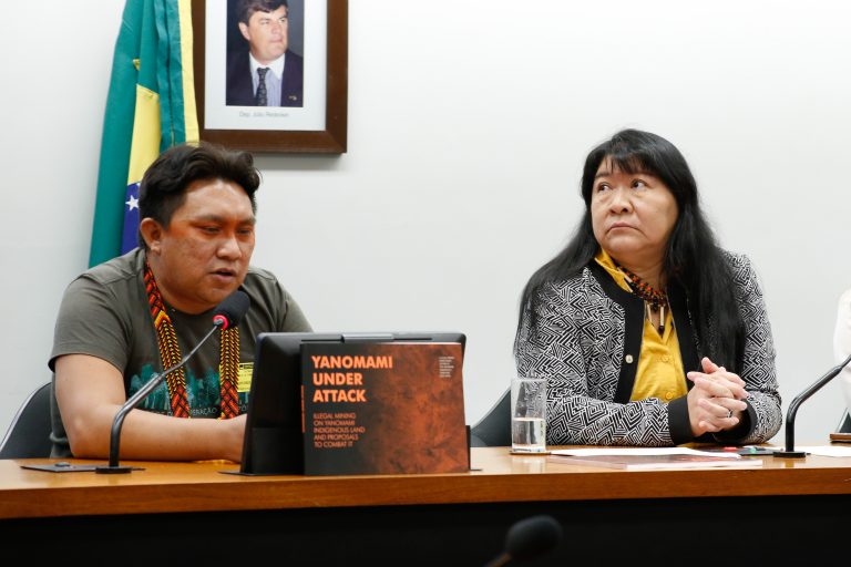 CÂMARA: Terra Yanomami é palco de “tragédia humanitária”, dizem especialistas