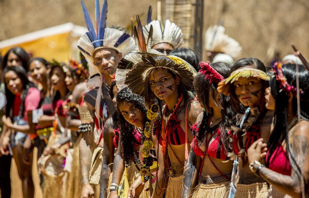 CIMI: Povos originários e comunidades tradicionais no futuro