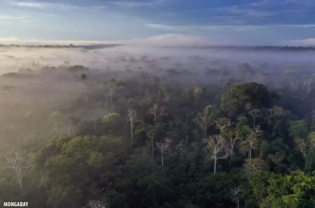 AMAZÔNIA NOTÍCIA E INFORMAÇÃO: AMAZONAS QUER LIBERAR OBRAS NO ENTORNO DE TERRAS INDÍGENAS SEM QUE HAJA ANUÊNCIA DA FUNAI