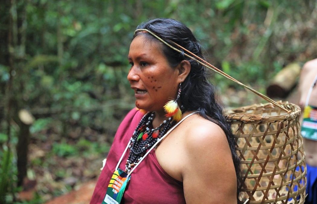 CIMI: Artigo: os povos indígenas são os melhores protetores da Amazônia