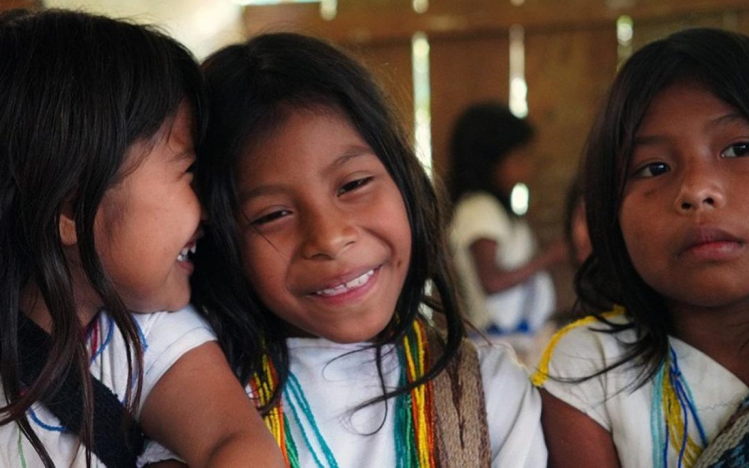 ONU BRASIL: Especialistas da ONU defendem direito de mulheres indígenas à liderança