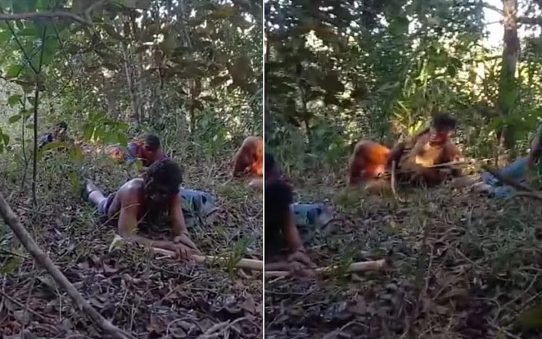 RBA: Pistoleiros atacam indígenas Pataxó, na Bahia. Famílias deixam suas casas para se esconder na mata