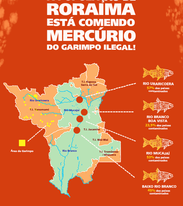 ISA: Garimpo ilegal contamina peixes de rios de Roraima, revela estudo