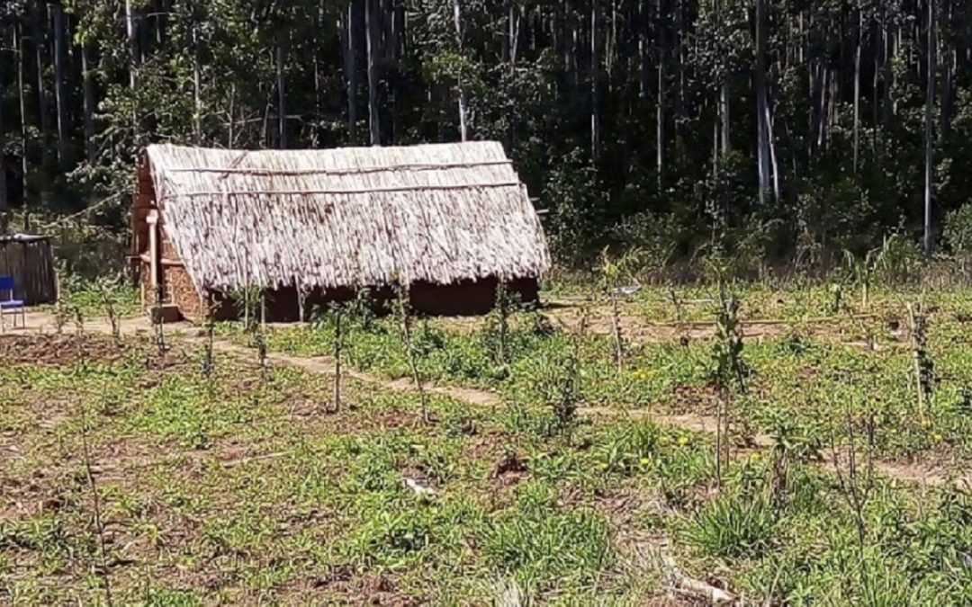 RBA: Governo do RS vende territórios indígenas junto com empresa de eletricidade