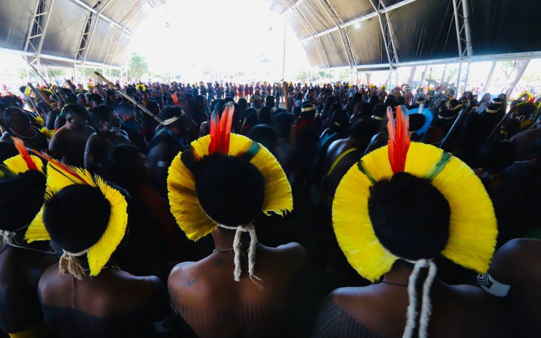 APIB: Eleições 2022: Candidaturas indígenas enfrentam ‘guerra digital’