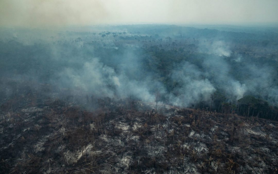 AMAZÔNIA REAL: Como Bolsonaro desmontou a fiscalização ambiental