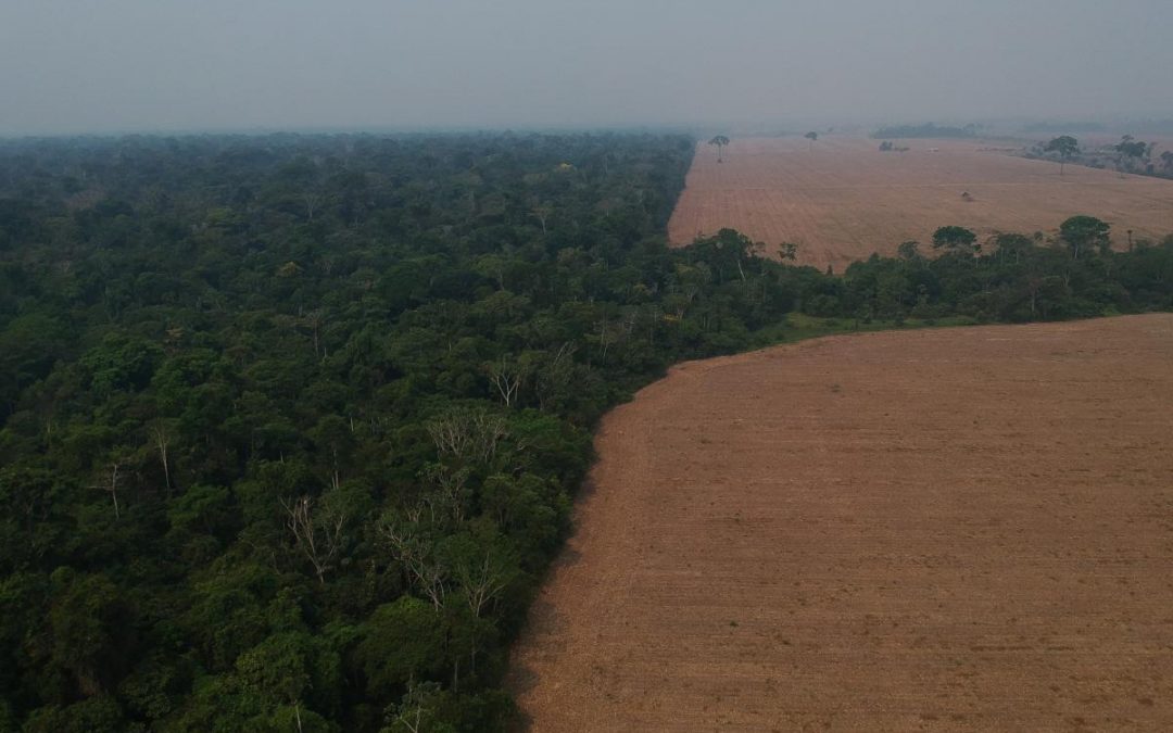 ISA: Terras Indígenas com povos isolados na Amazônia sofrem o maior ataque do ano