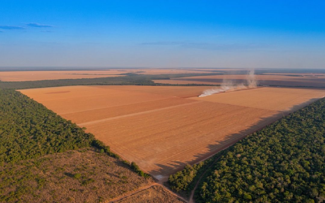 RBA: Cúpula da Funai blindou projeto do agro em terra indígena no Mato Grosso