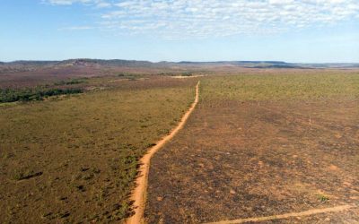 AMAZÔNIA NOTÍCIA E INFORMAÇÃO: COM APOIO DO GOVERNO DE MT E DA FUNAI, PREFEITURA DESMATA ILEGALMENTE ÁREA INDÍGENA PARA PLANTIO DE GRÃOS
