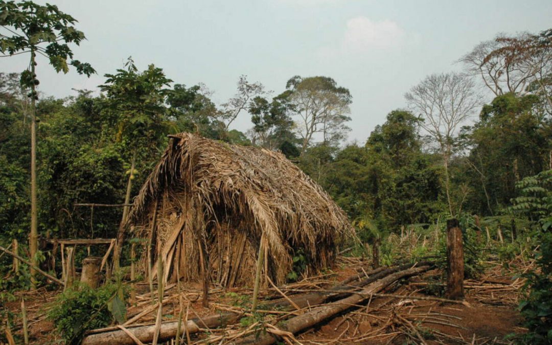 AMAZÔNIA REAL: Indígena Tanaru será sepultado na terra onde sempre viveu no sul de Rondônia