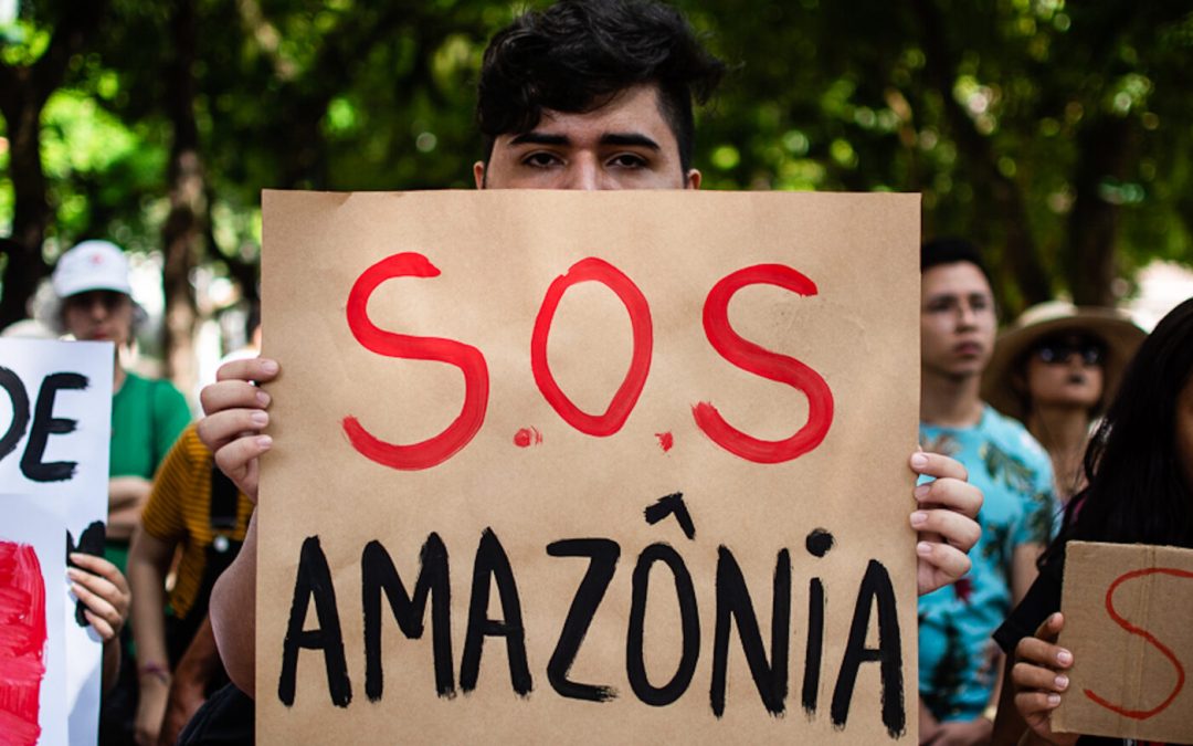 AMAZÔNIA REAL: Eleições 2022: Amazônia se torna alvo da polarização entre Lula e Bolsonaro
