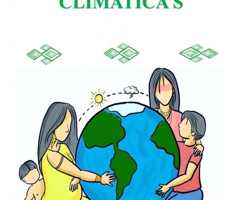 CIR: CIR em Parceria com UNICEF, ICS e CAFOD Promove seminário sobre mudanças climáticas, em Comunidade da T.I Amajari – RR￼