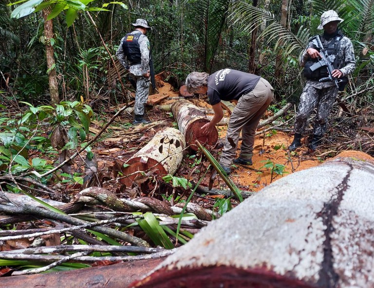 FUNAI: Com apoio da Funai, Operação Guardiões do Bioma combate ilícitos ambientais em áreas indígenas