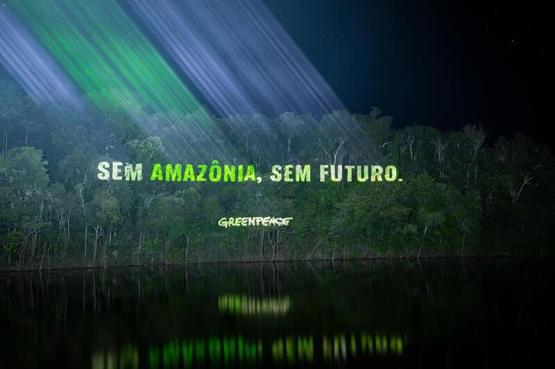 GREENPEACE: A verdade sobre a Amazônia sob o governo Bolsonaro