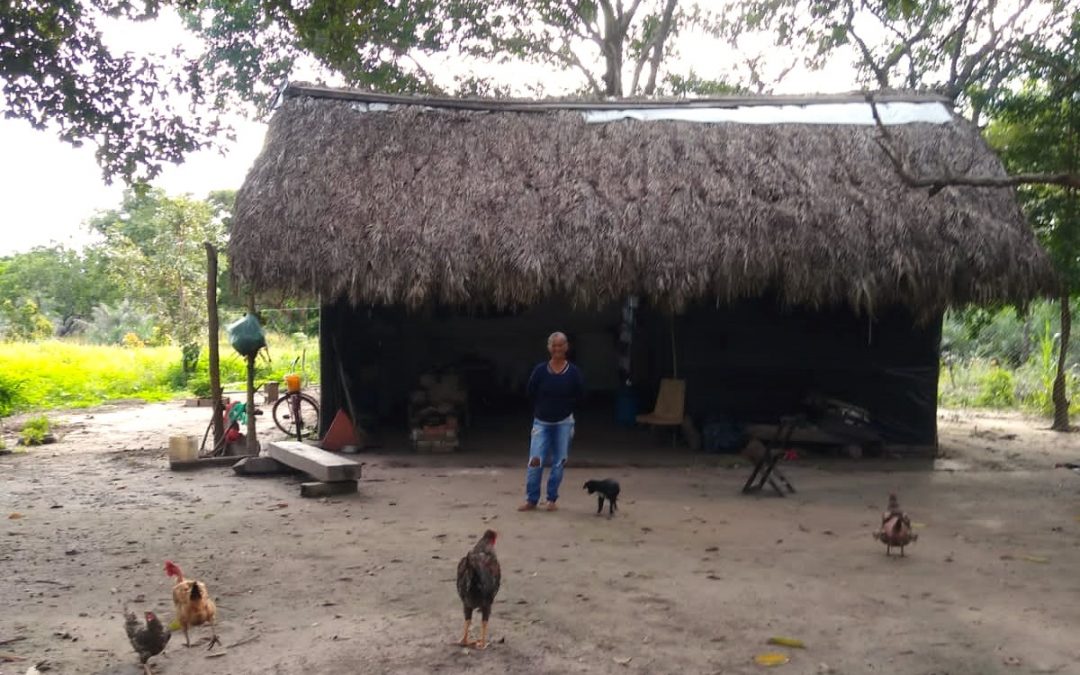 AMAZÔNIA REAL: Liderança do povo Kanela do Araguaia sofre ataques de seguranças de fazenda