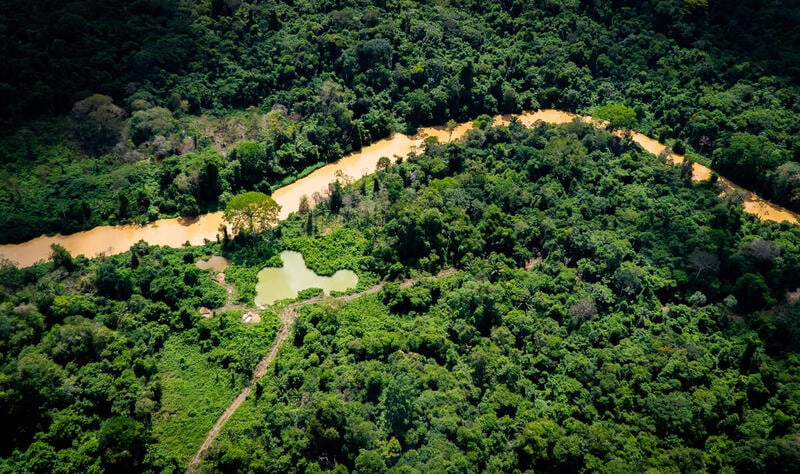 GREENPEACE: Estrada ilegal ameaça povo isolado na Terra Indígena Yanomami