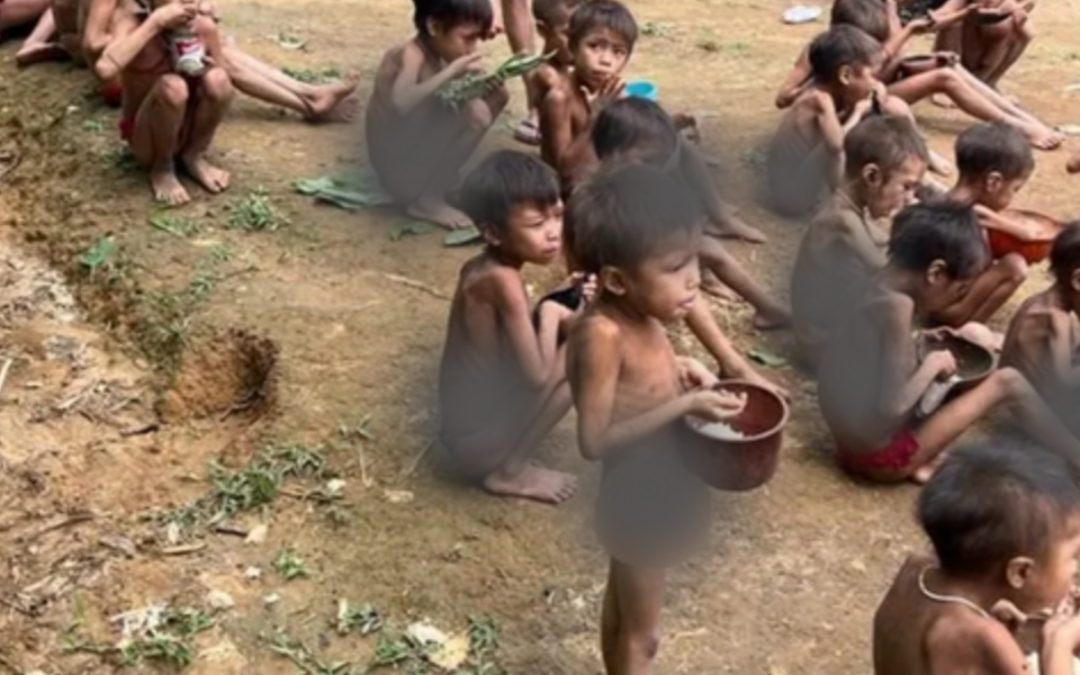 SURVIVAL: “É uma crise humanitária” – novo estudo releva a extensão da crise de saúde que afeta os Yanomami
