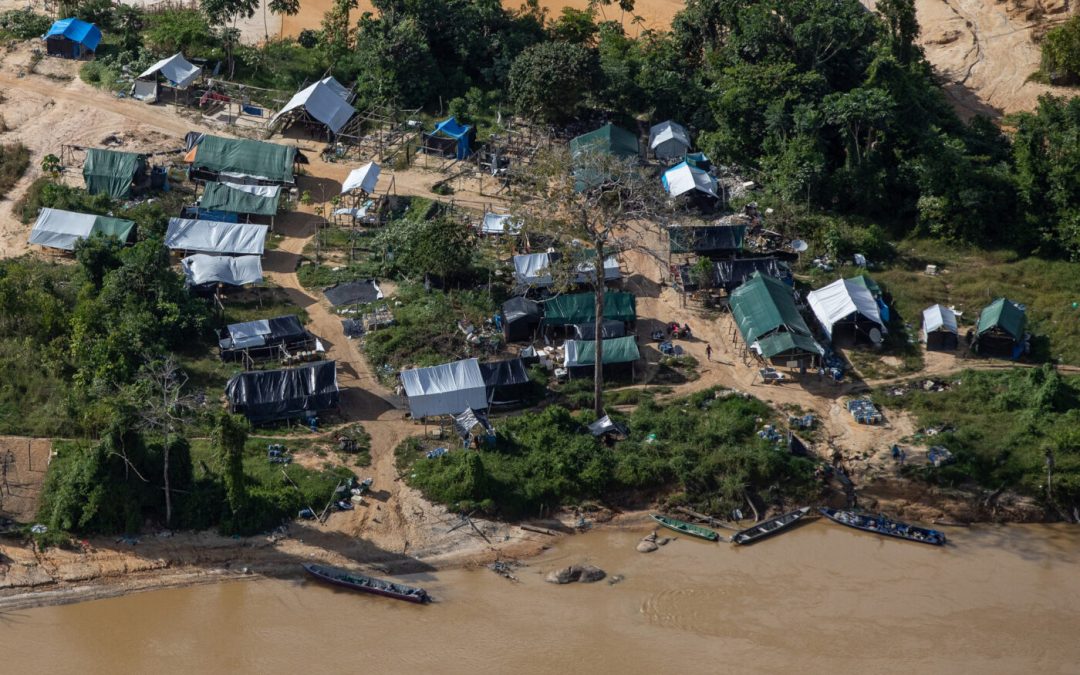 AMAZÔNIA REAL: Amazônia ameaçada pela agenda de mineração do presidente Bolsonaro