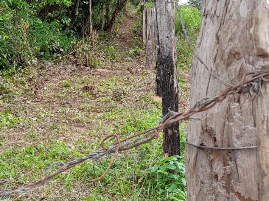 CIMI: Guardiões da Floresta da TI Arariboia detalham ações para a proteção do território