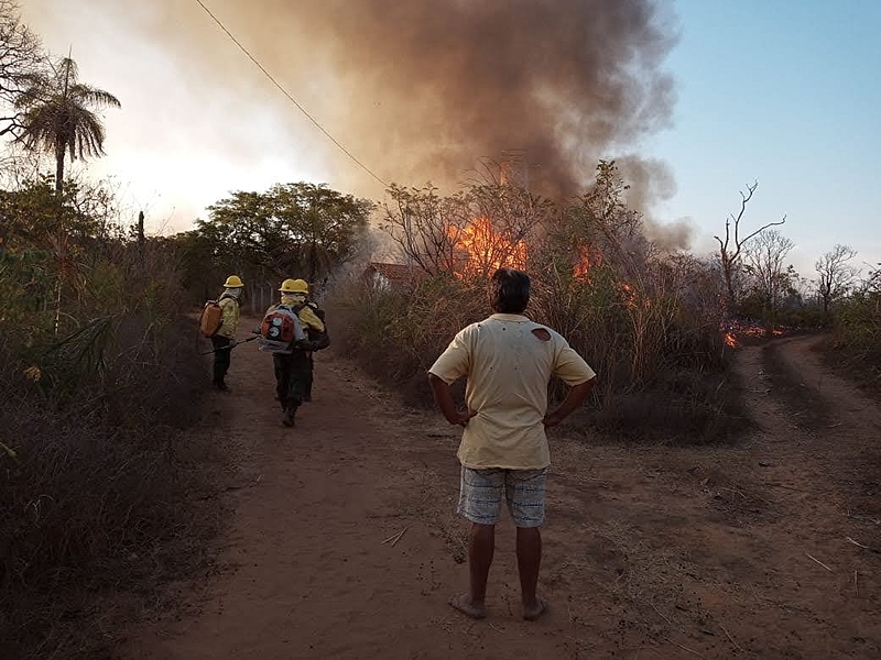BRASIL DE FATO: Comunidades tradicionais lutam contra o fogo no Maranhão e Tocantins
