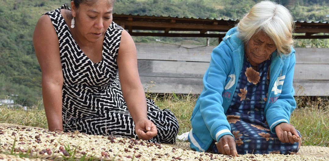 ONU: Más de 800 pueblos indígenas de América Latina viven en una mayor precariedad tras la pandemia￼