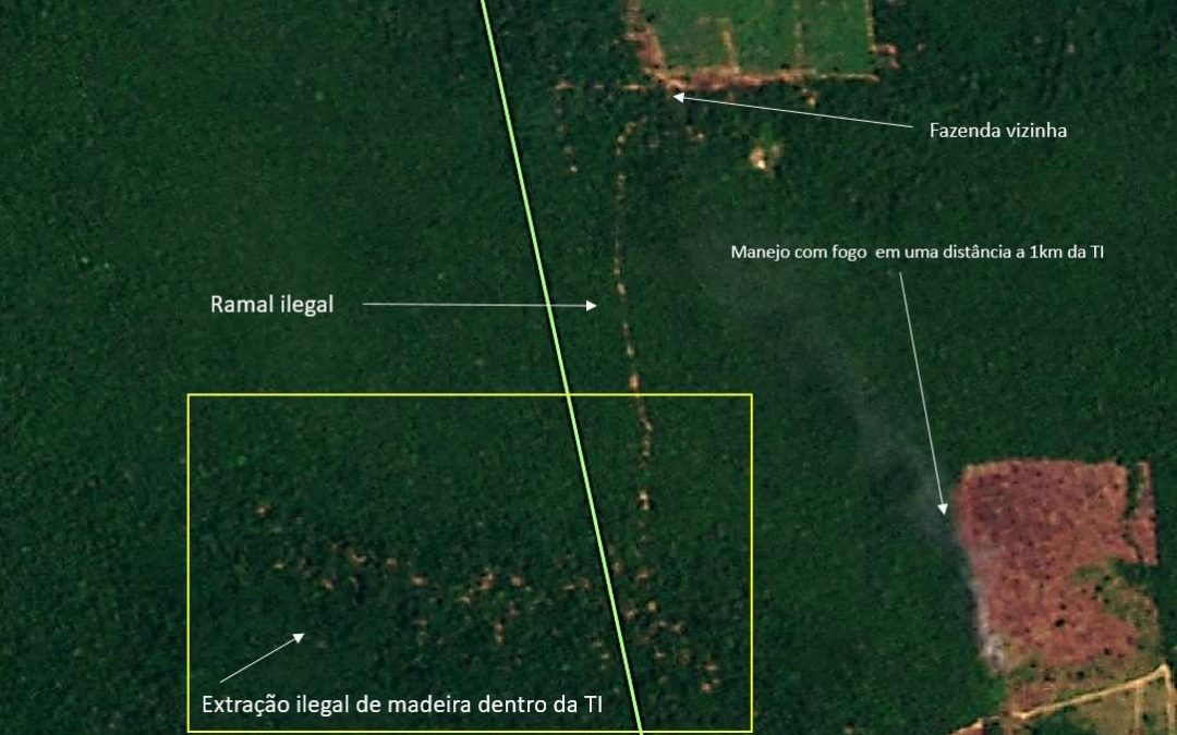 ISA: Há um ano desprotegida, Terra Indígena Jacareúba-Katawixi (AM) vira terreno de exploração ilegal de madeira