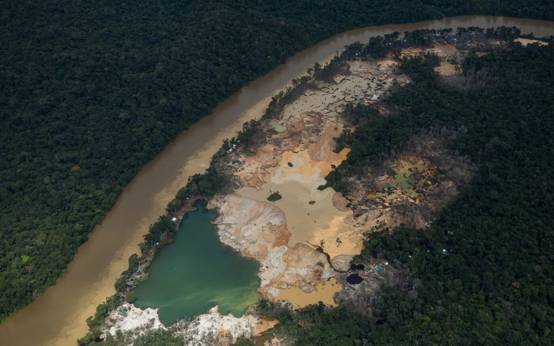 AMAZÔNIA REAL: Yanomami: “É um cenário de guerra”, diz Sesai
