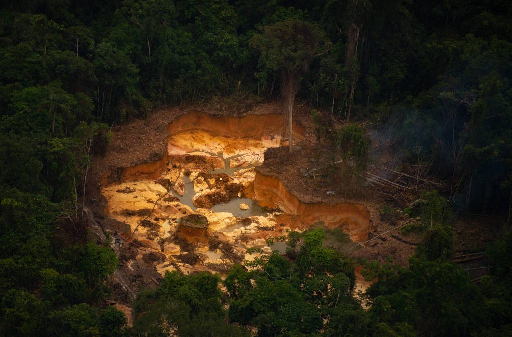 FOLHA DE S. PAULO: Governo Bolsonaro deu aval inédito para garimpo próximo à terra yanomami