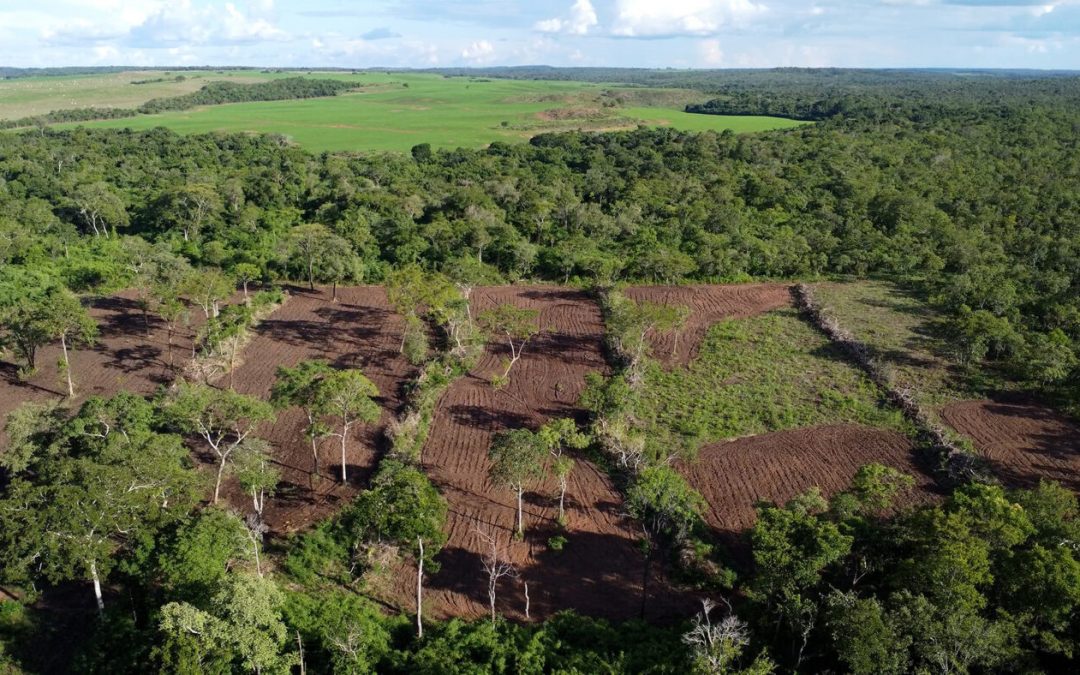 AMAZÔNIA NOTÍCIA E INFORMAÇÃO: Indígenas Xerente estão sem água potável por contaminação de agrotóxicos no rio Gorgulho