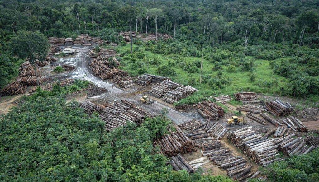 AMAZÔNIA NOTÍCIA E INFORMAÇÃO: Sonia Guajajara revogará norma que facilita exploração madeireira em terras indígenas